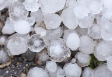 Can You Eat Hail?