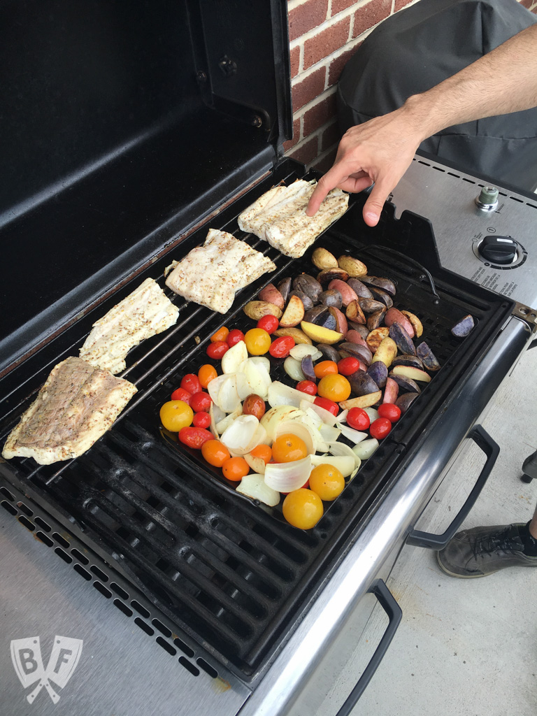 Cook Sand Shark