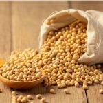 Is Soy Products Gluten Free