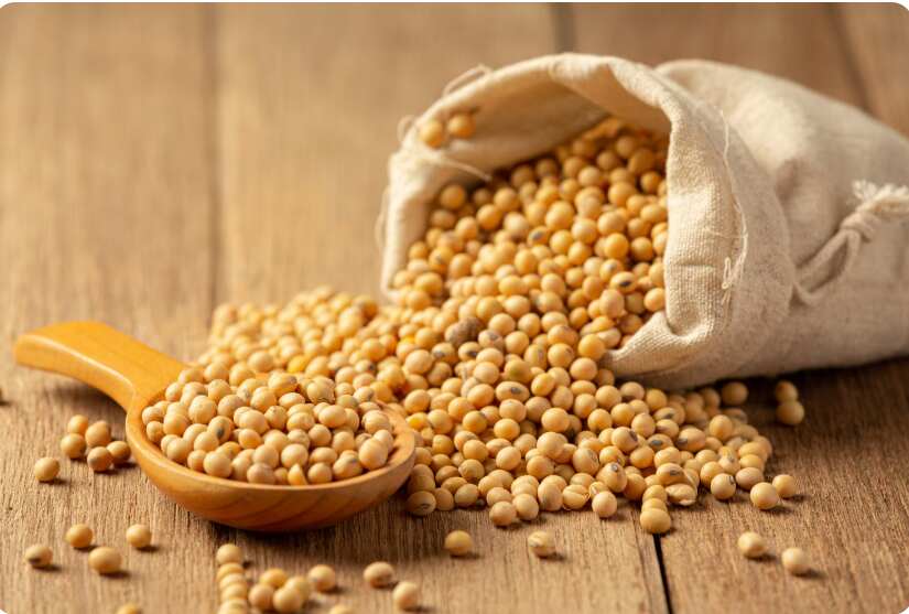 Is Soy Products Gluten Free